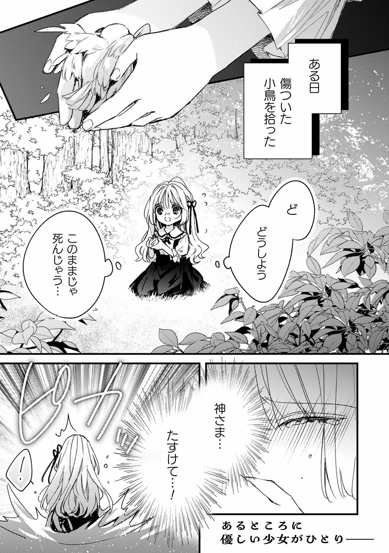 Seiryaku Kekkon no Aite ni – Watashi no koto Suki ni natte – to Oinori shita Kekka - Chapter 1 - Page 3